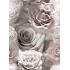 Tissu velours ameublement 360 g/m² au mètre, à motif 390097-108
