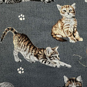 Tissu coton au métre imprimé Chat et sindice couleur gris