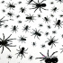 Tissu coton au métre imprimé Araignéés couleur blanche