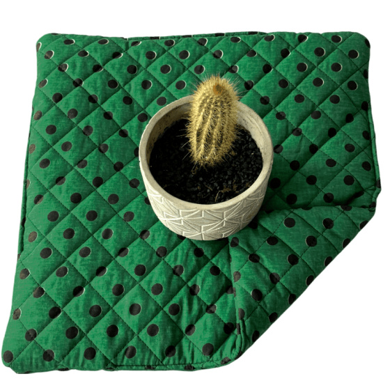 Coussin d'assise 40x40x2cm Pois Noir sur Vert 